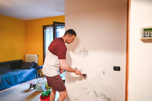 Mold Removal Process in Neptune City, NJ