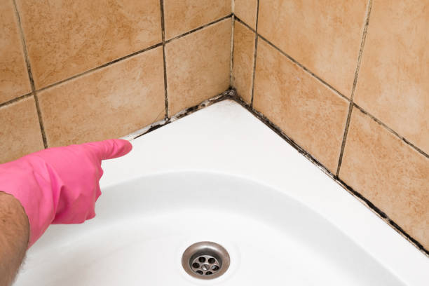 Best Commercial Mold Removal  in Neptune City, NJ